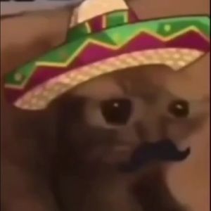 Meet your Posher, Guillermo